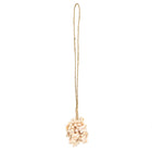 Le gland de coquille rose
