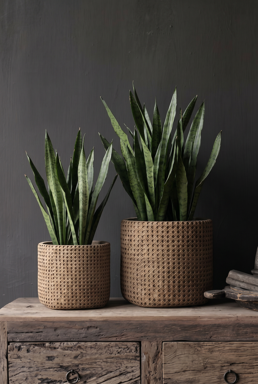 Macetero The RattanRock - Natural - XL