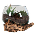 San Marino Water Drop - Natural