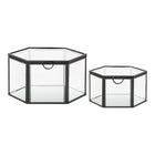 Caja Torpe - Transparente / Negro