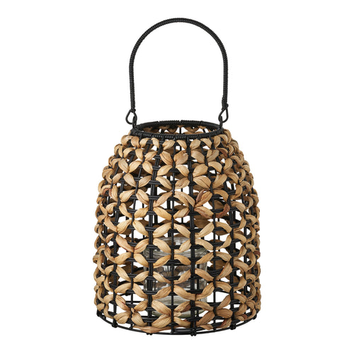 Farol Pinto – natural y negro