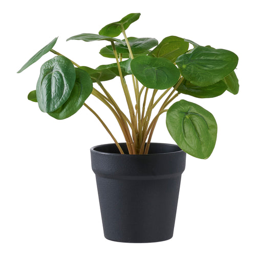 Pelia - Green