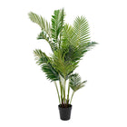 Areca Palm - Green