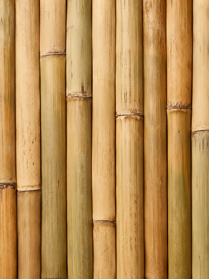 Bambú