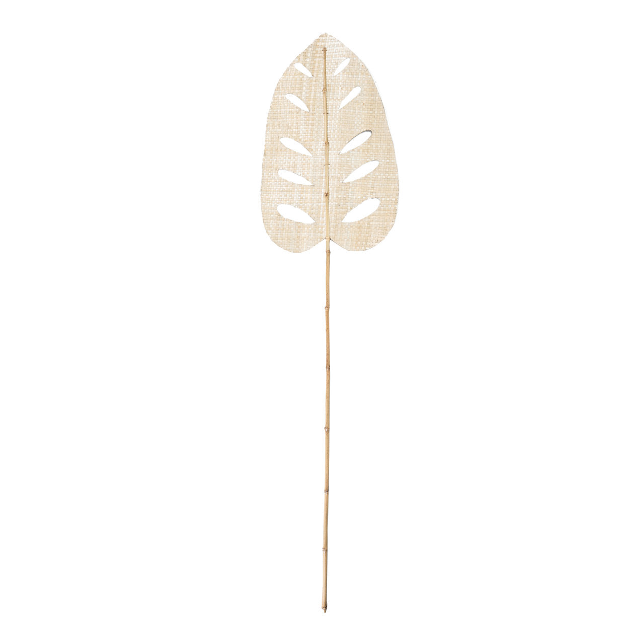 La hoja de jacinto de agua - Natural