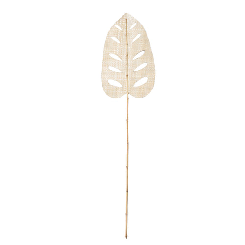 La hoja de jacinto de agua - Natural