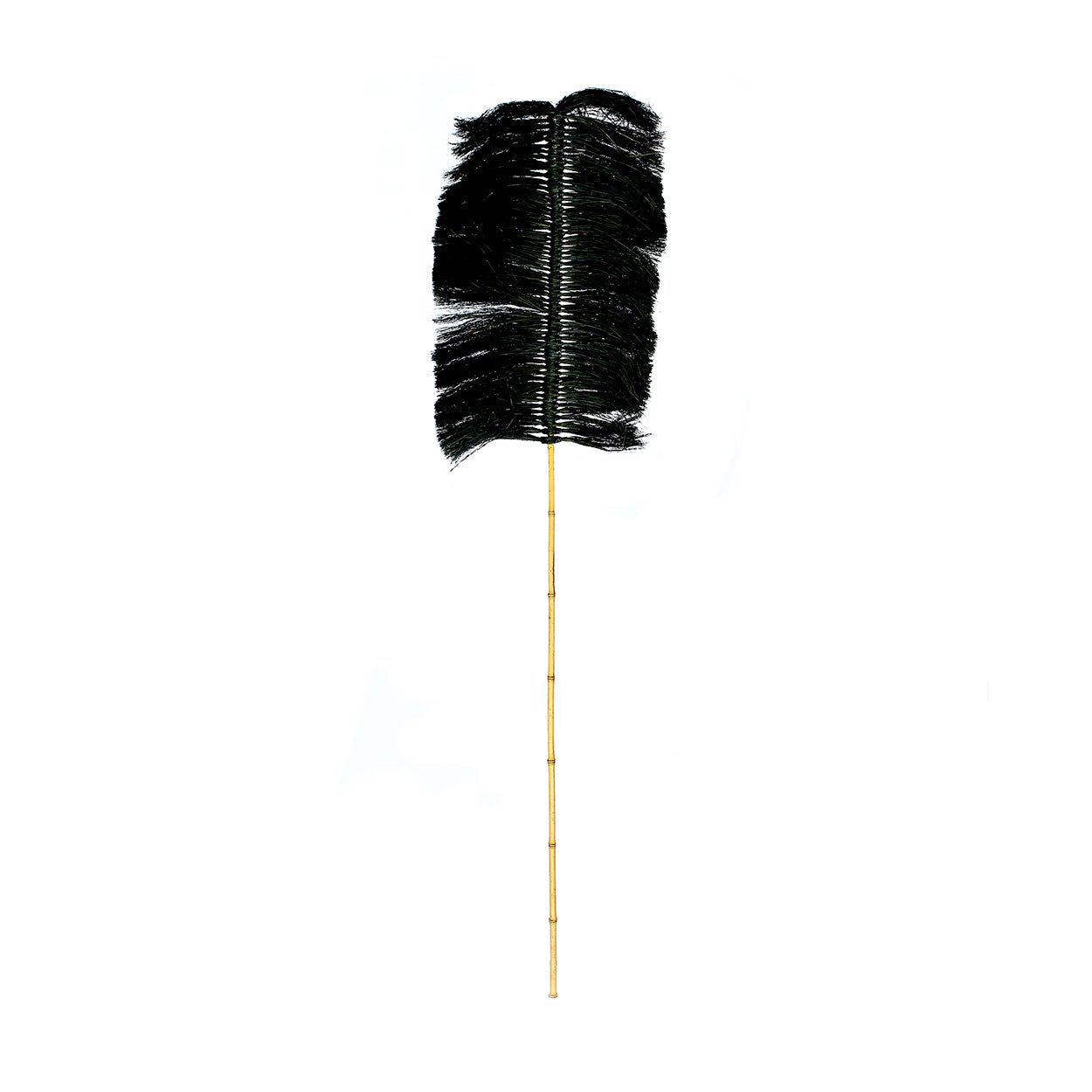 La Rafia Palmeira - Negro