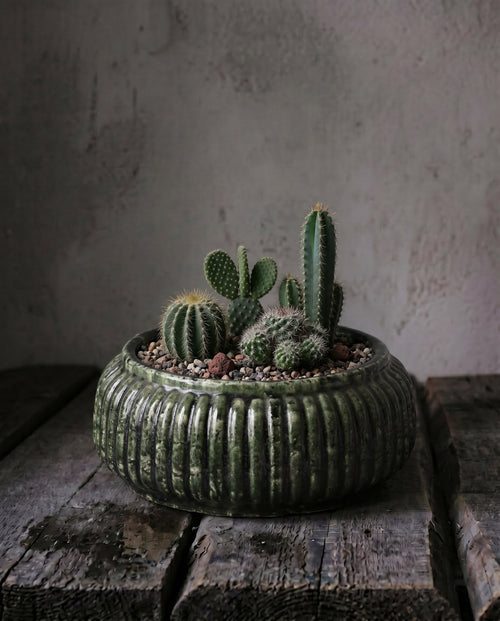 The Forest Ribbed Bowl Planter - Forest Green - Low
