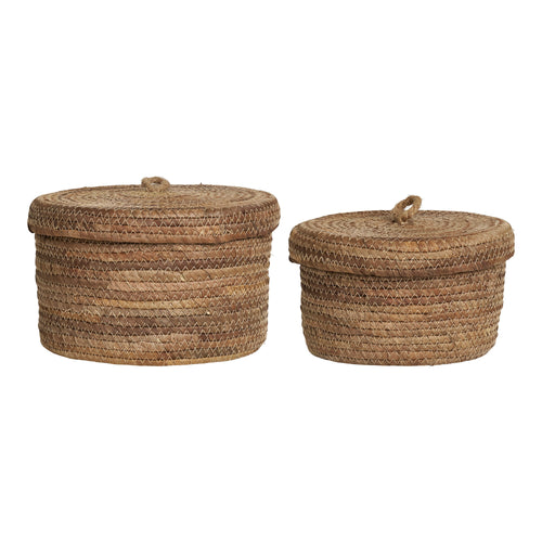 Desio Baskets - Natural