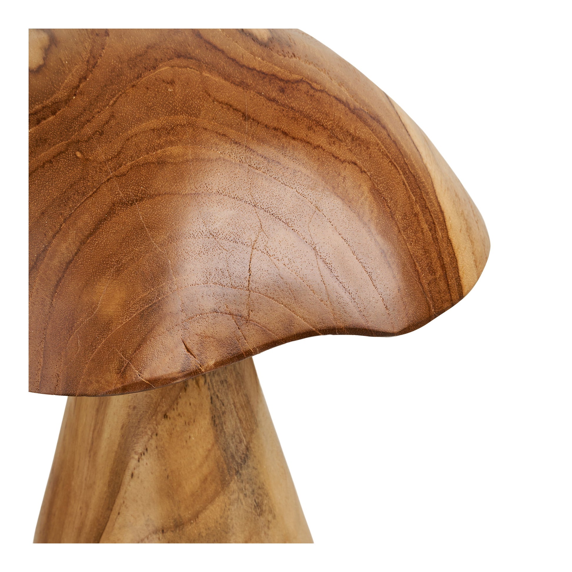 Setas Kodi Decoración - Natural