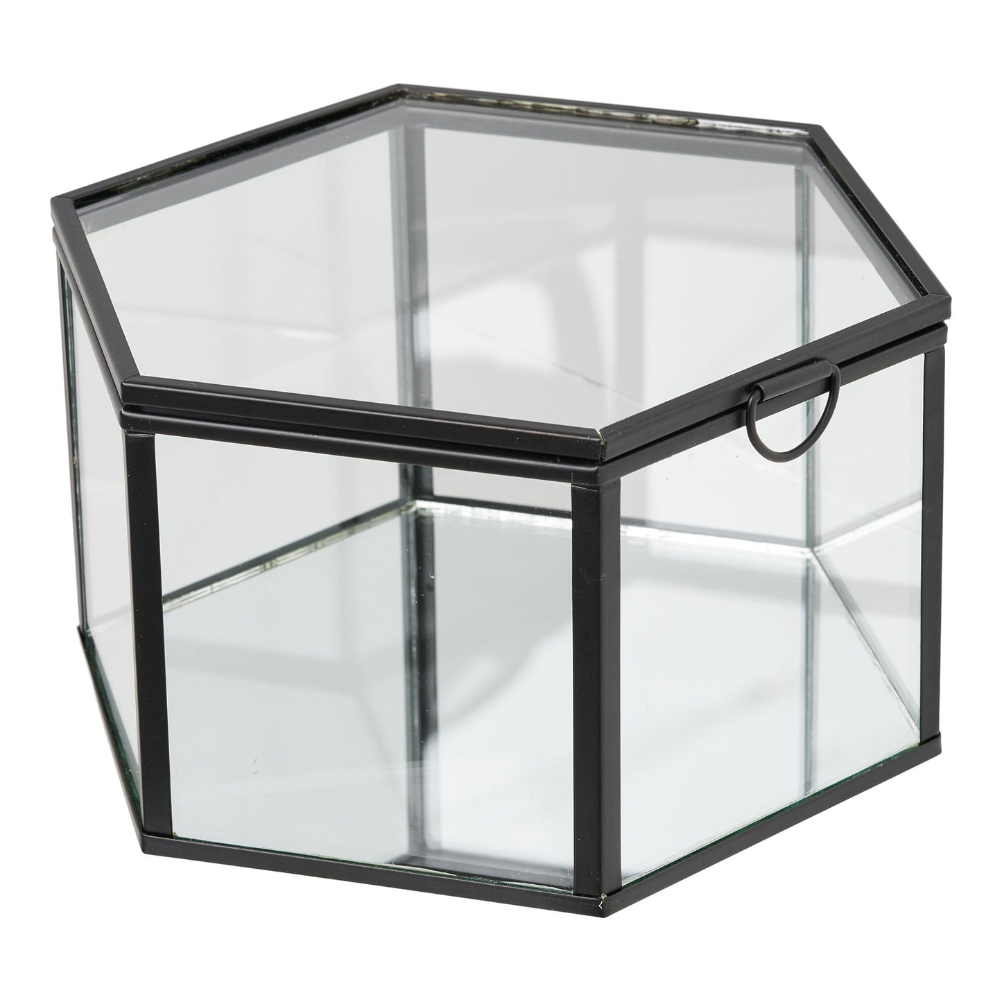 Caja Torpe - Transparente / Negro