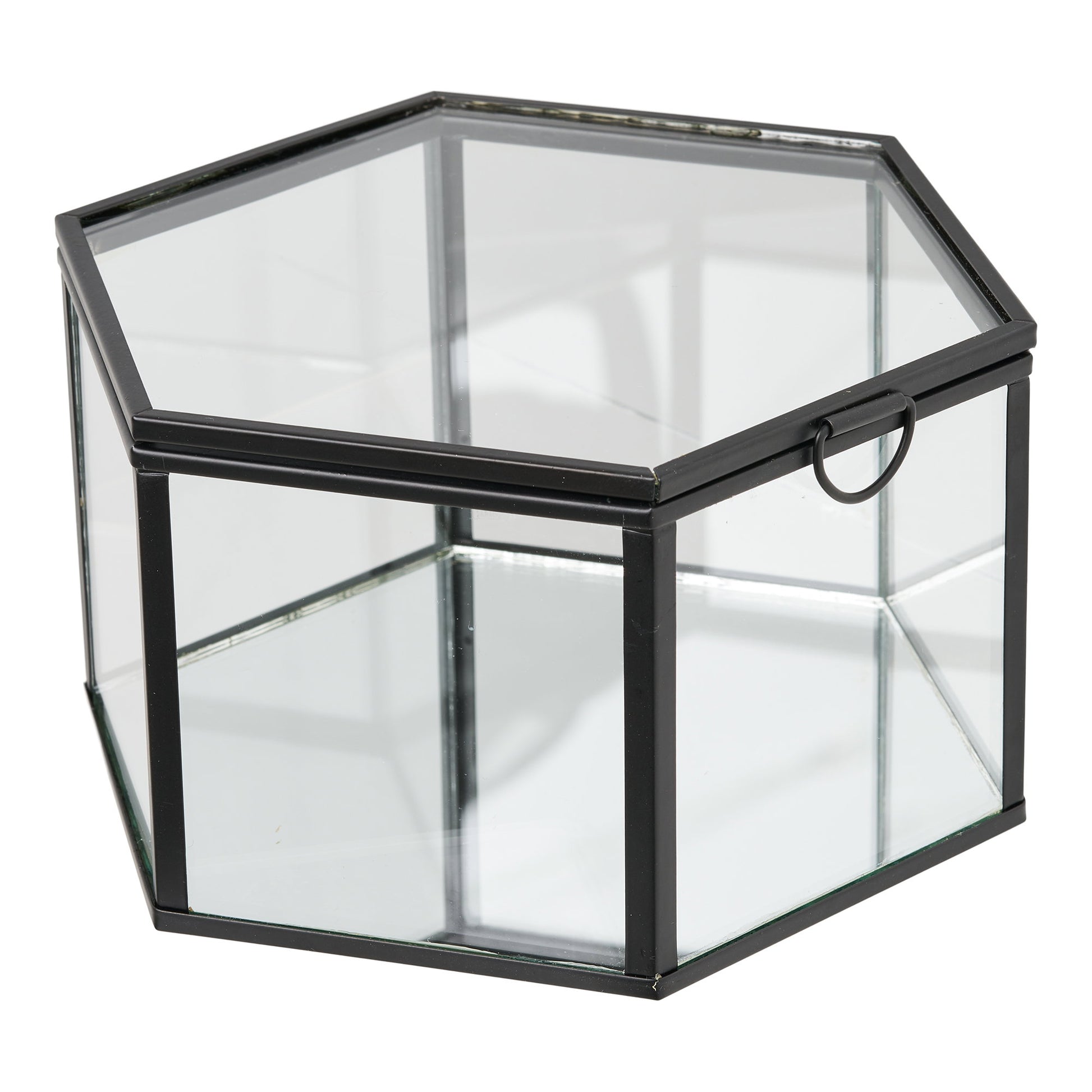 Caja Torpe - Transparente / Negro