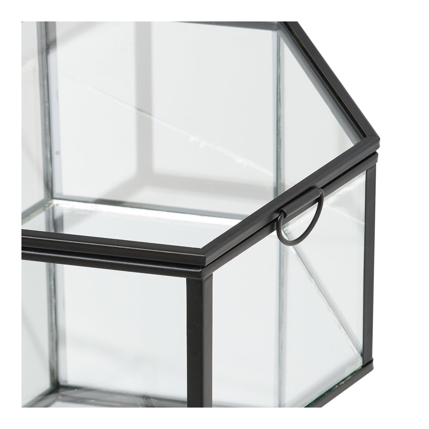 Caja Torpe - Transparente / Negro