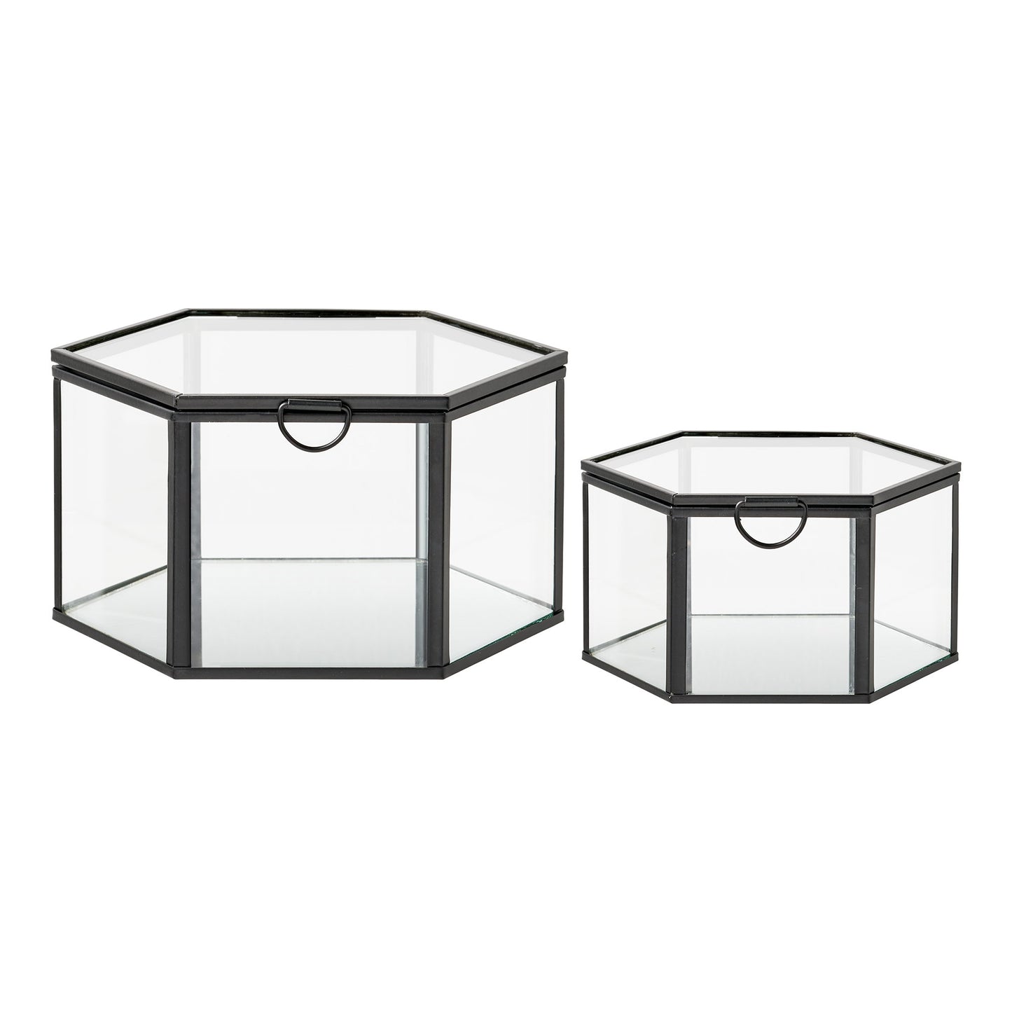 Caja Torpe - Transparente / Negro