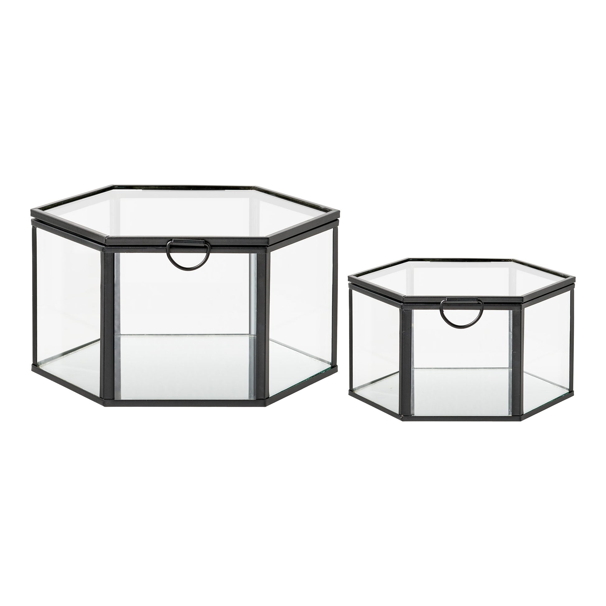 Caja Torpe - Transparente / Negro