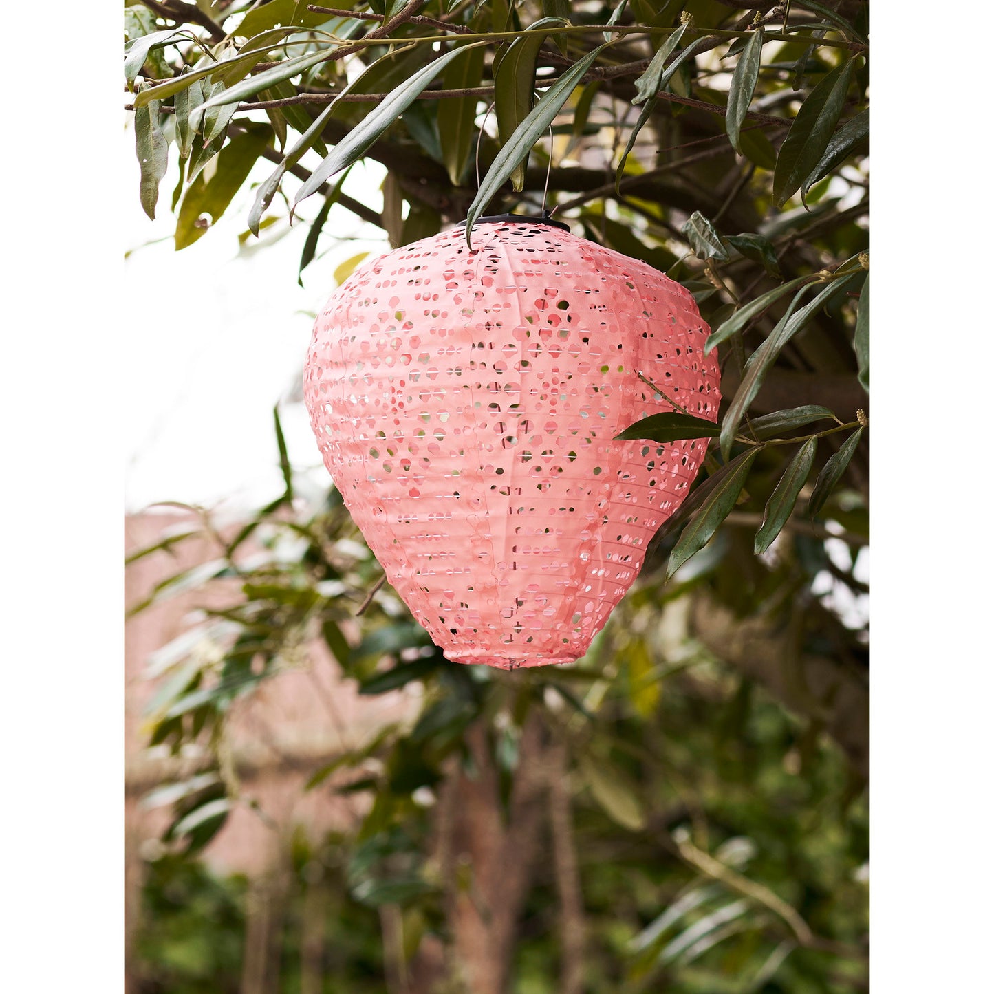 Linterna LED Greatham - Rosa