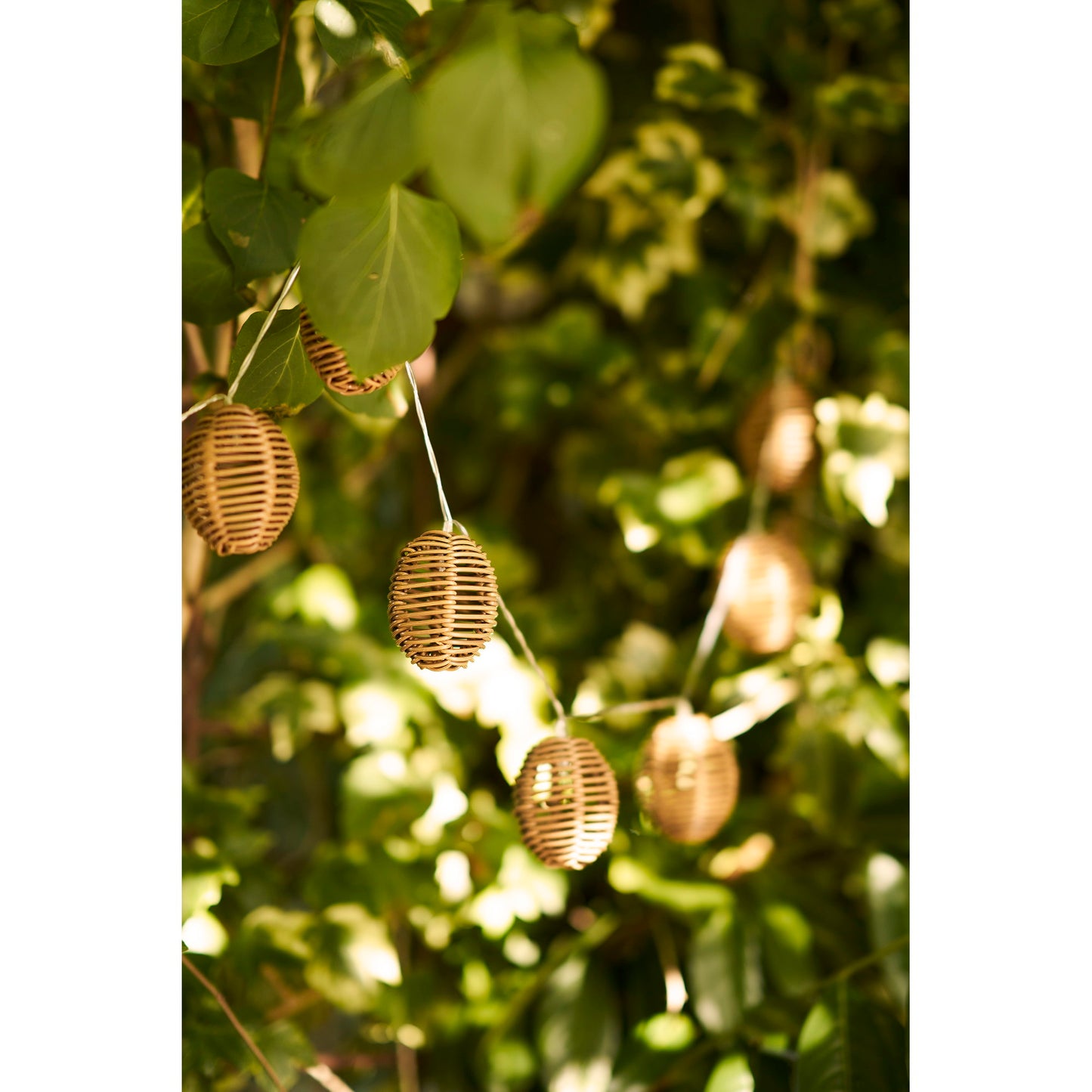 Cadena de luces LED Carlisle - Natural / Negro