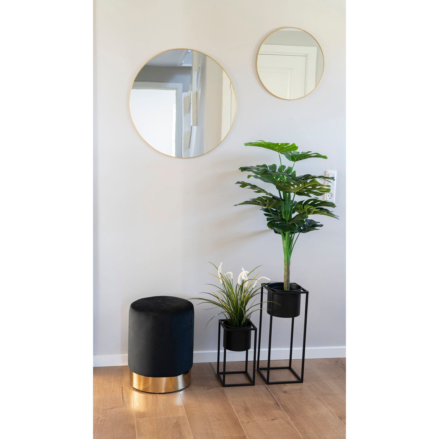 Monstera - Verde