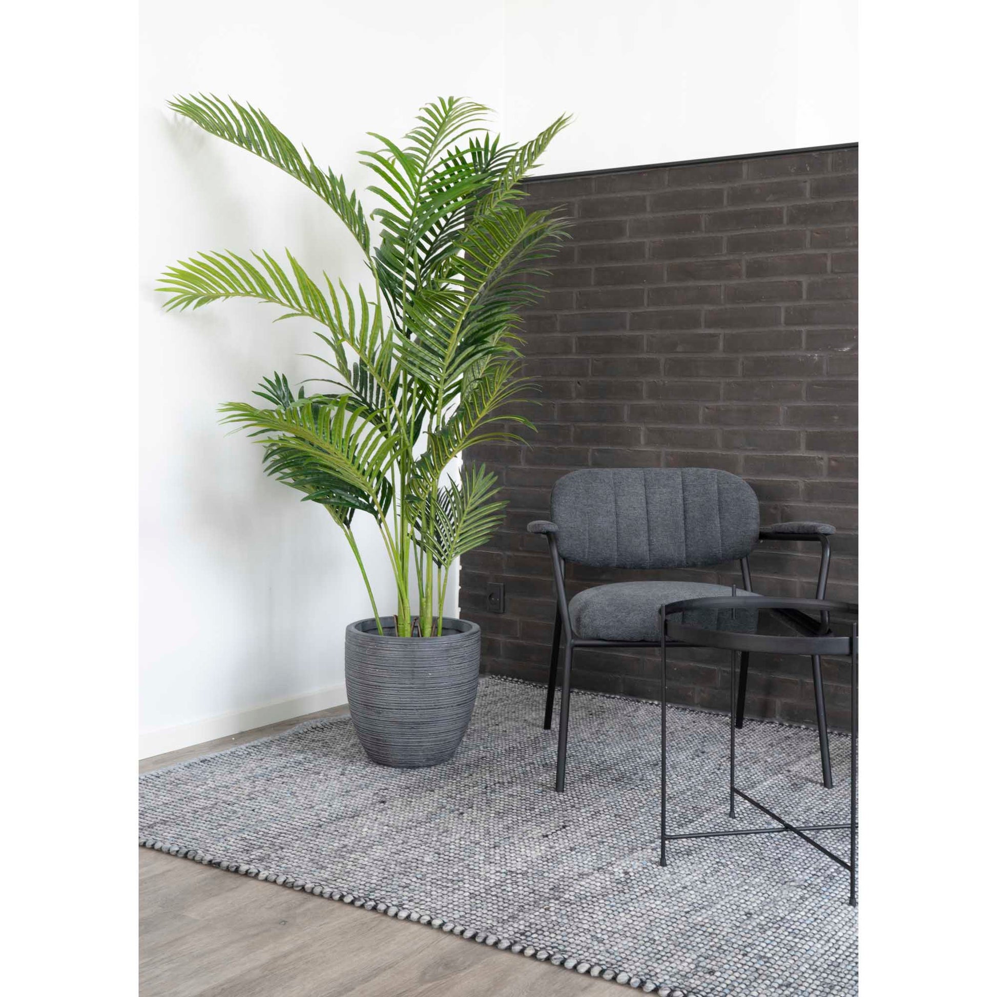 Palma Areca - Verde