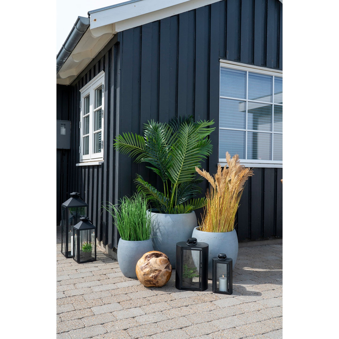 Palma Areca - Verde