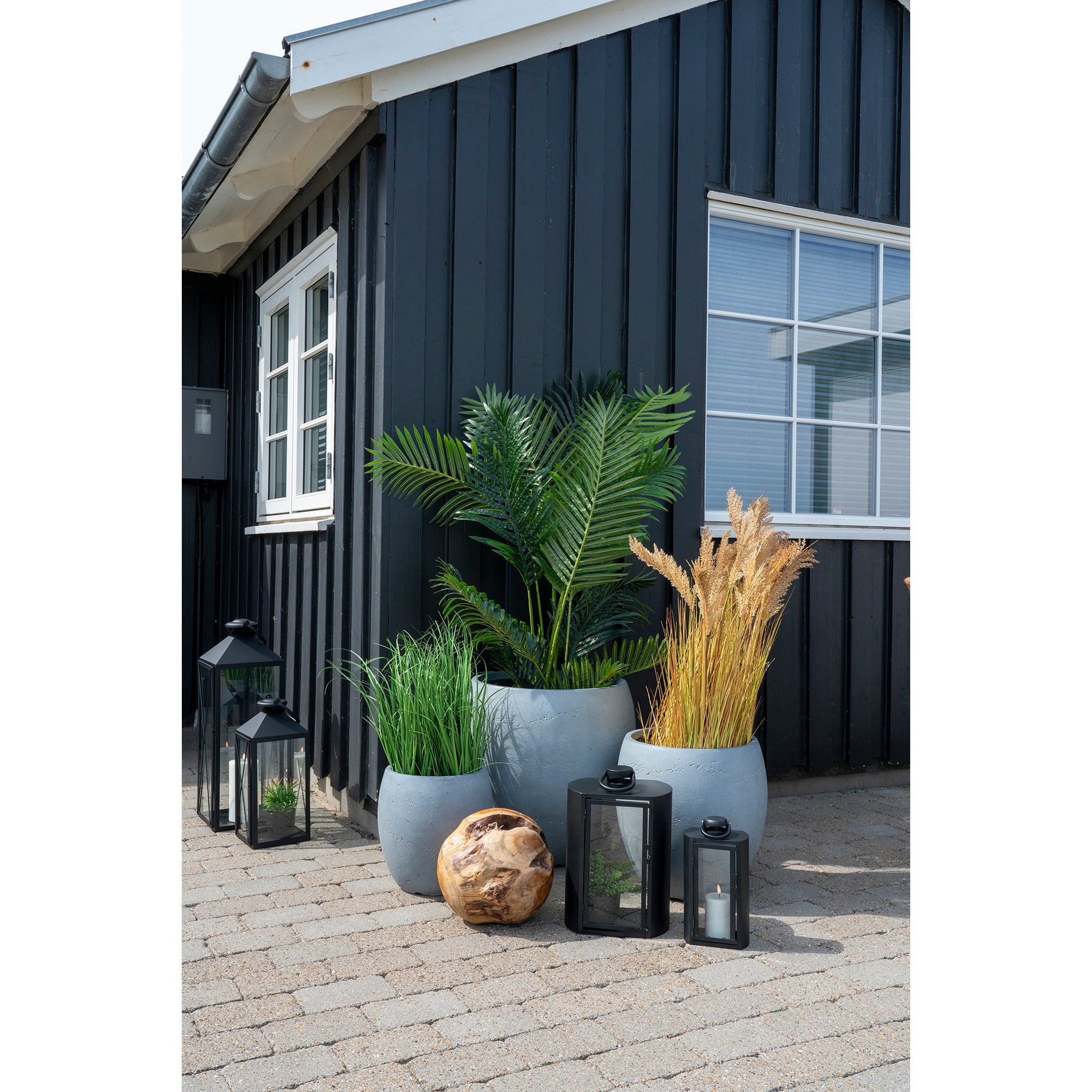 Palma Areca - Verde