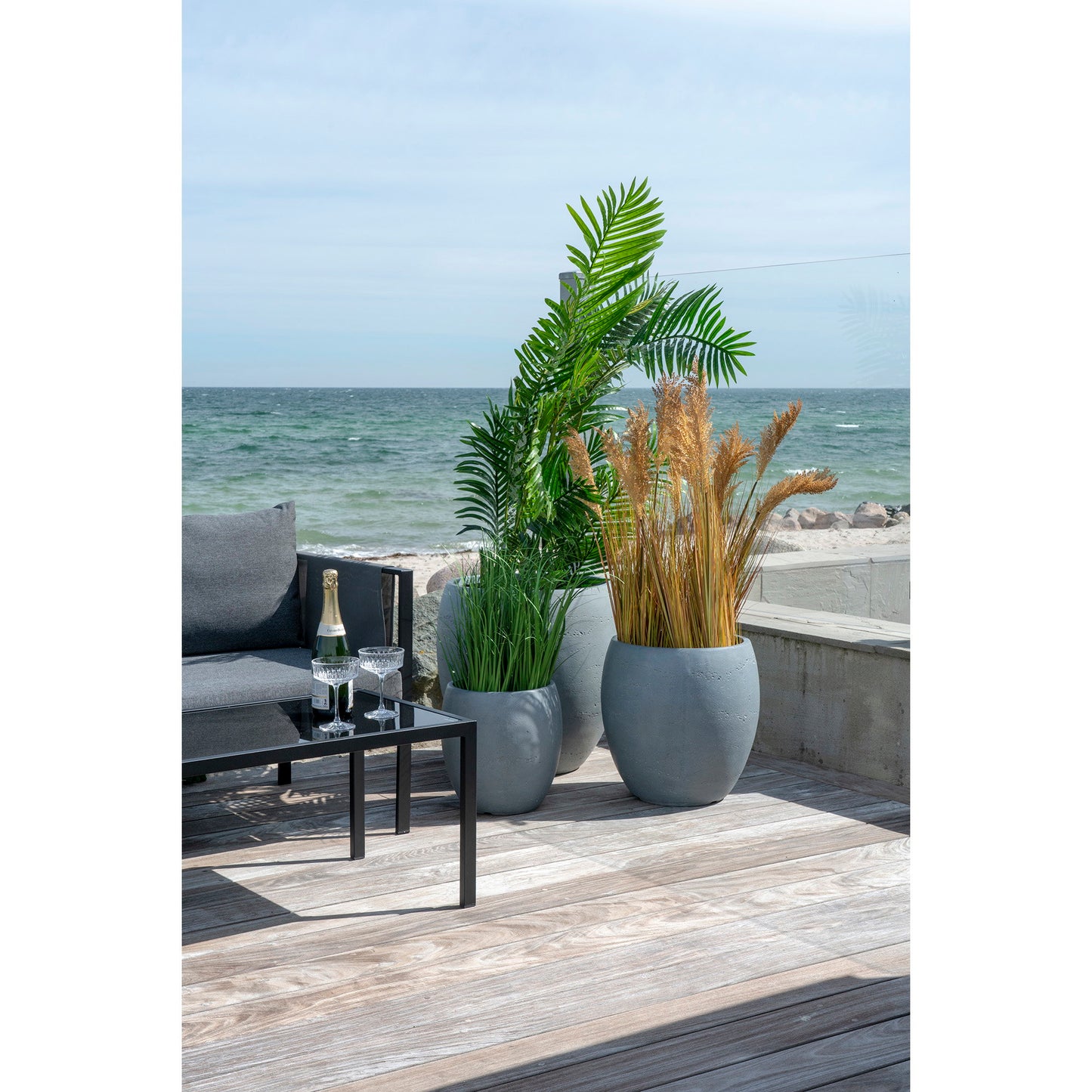 Palma Areca - Verde