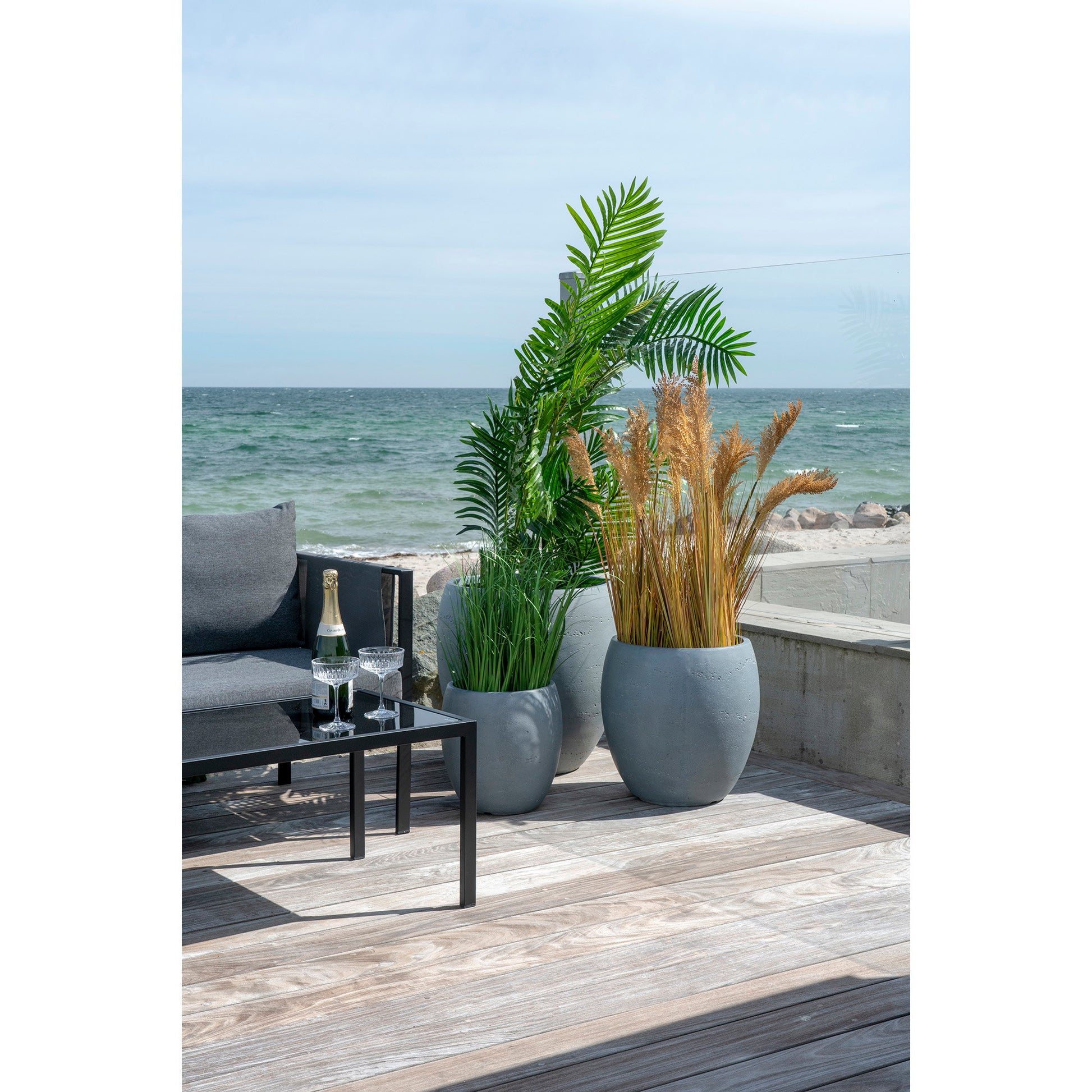 Palma Areca - Verde