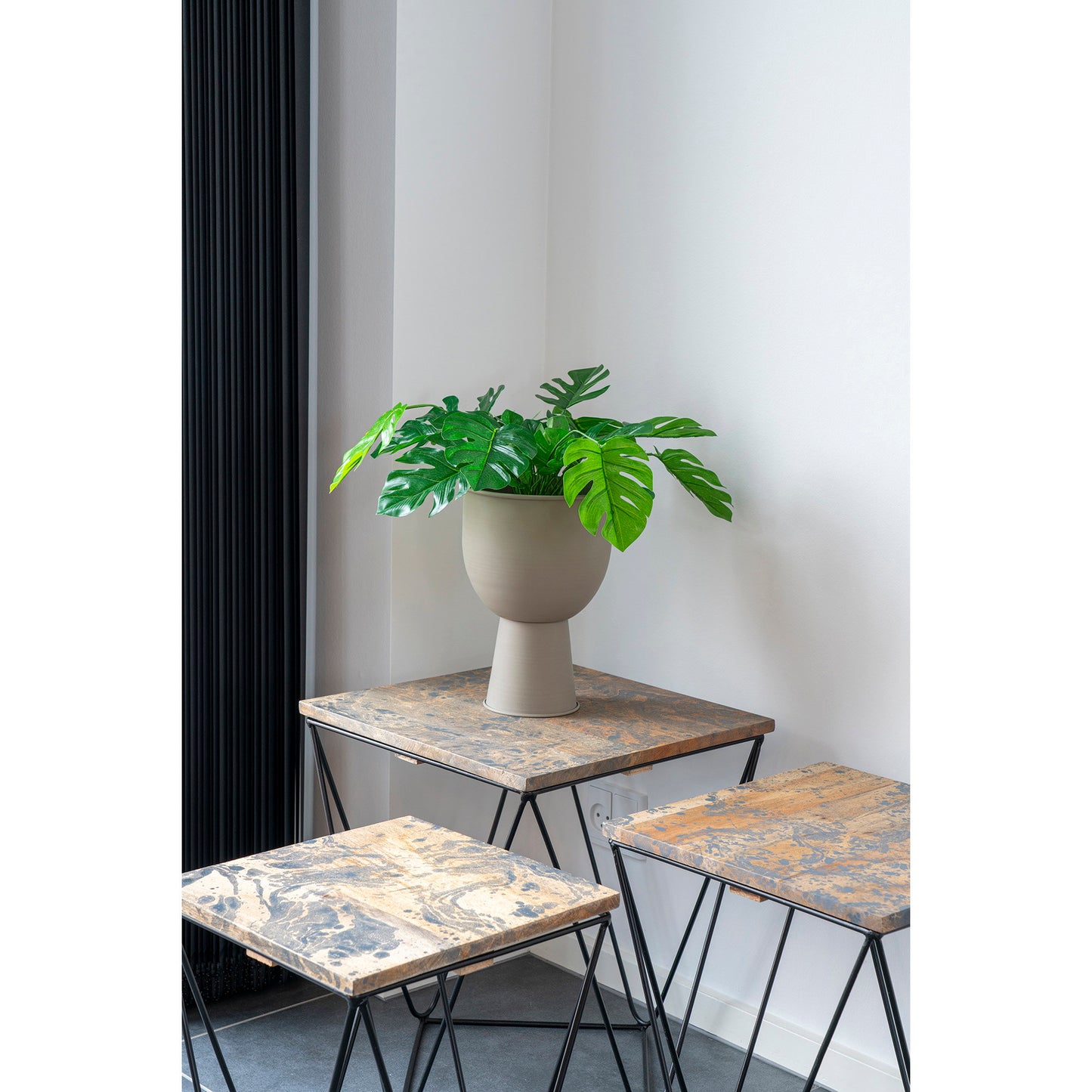 Monstera - Verde