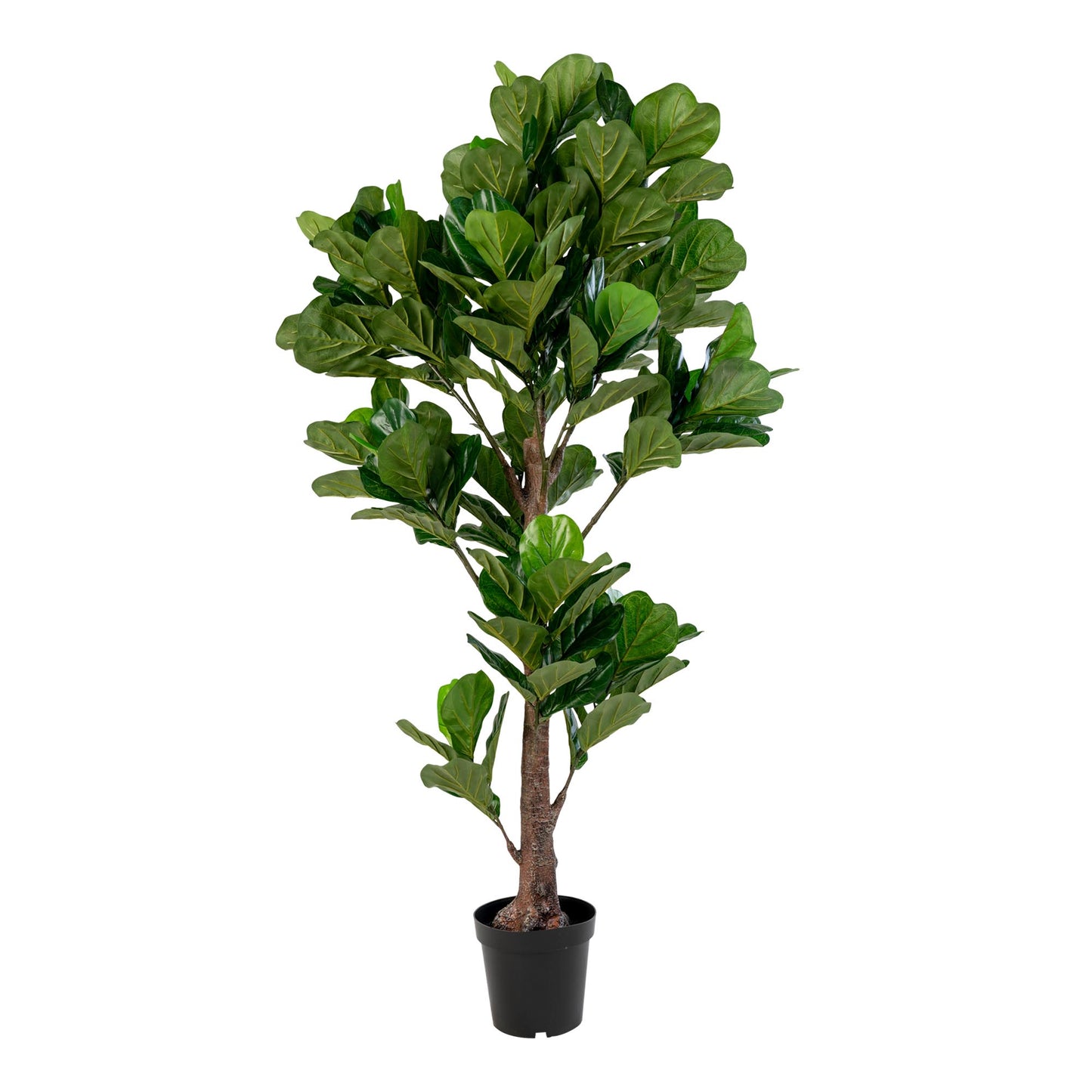 Árbol de hoja de violín - Verde