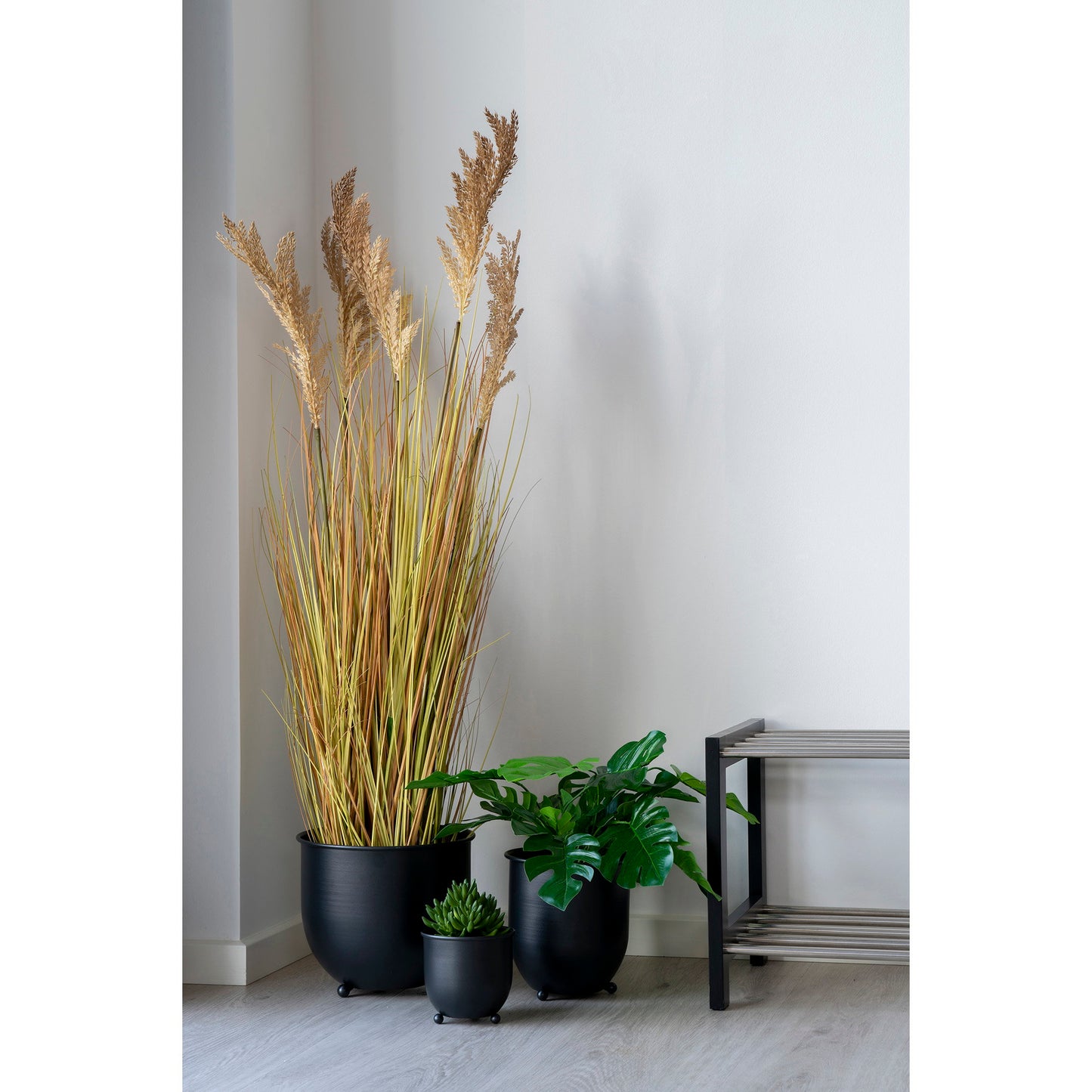 Hierba de sorgo - Natural