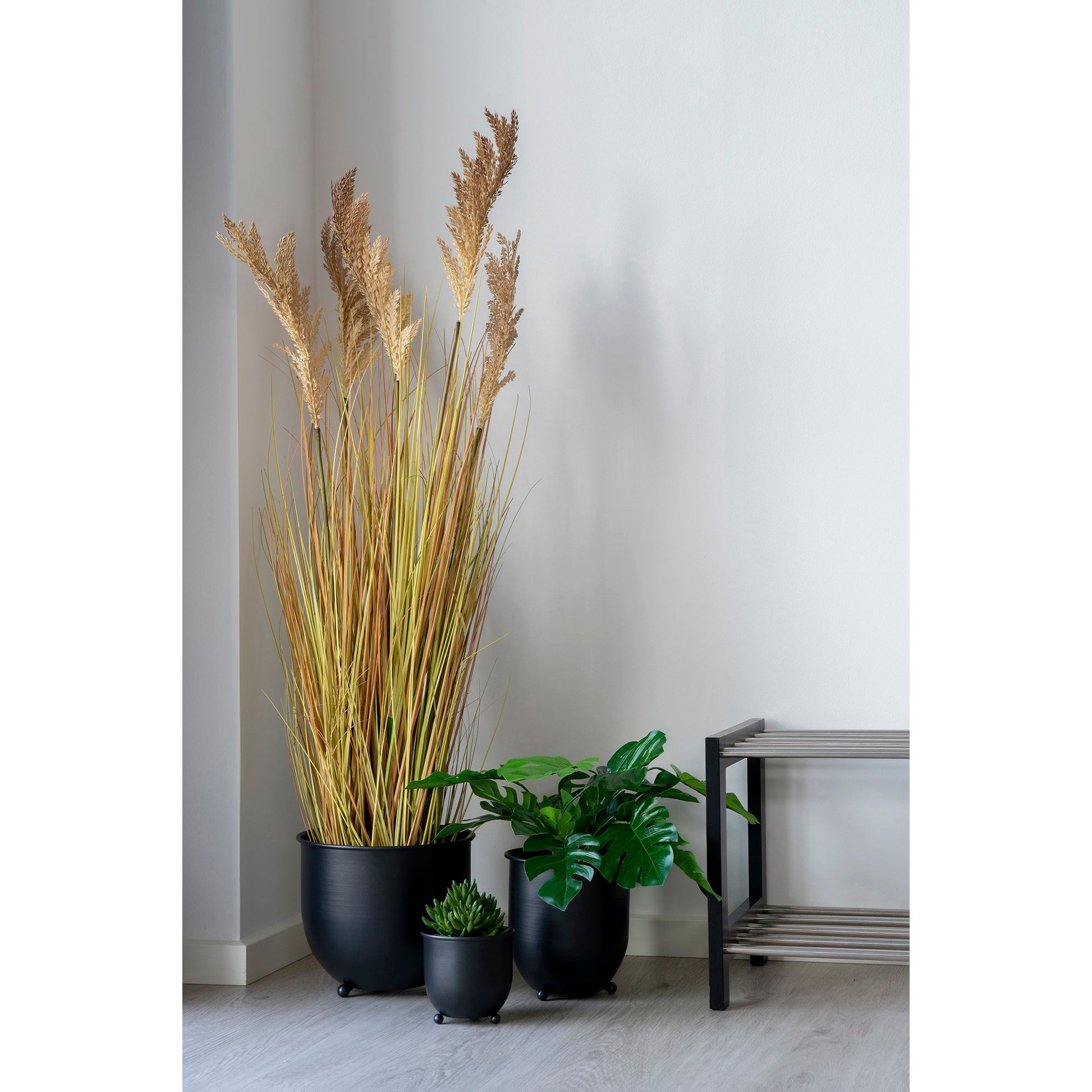 Hierba de sorgo - Natural
