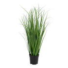 Hierba Poa - Verde