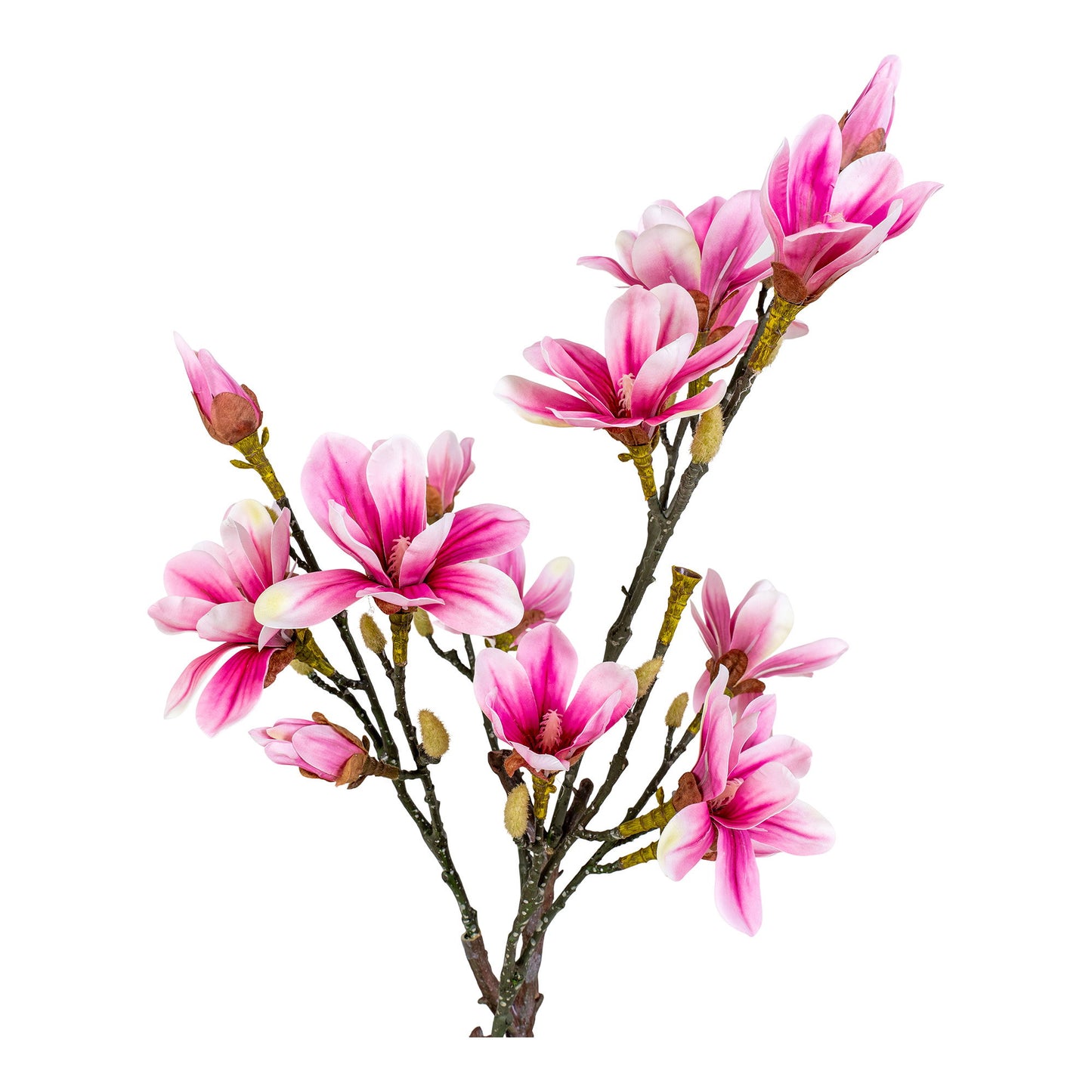 Árbol de Magnolia - Verde / Rosa
