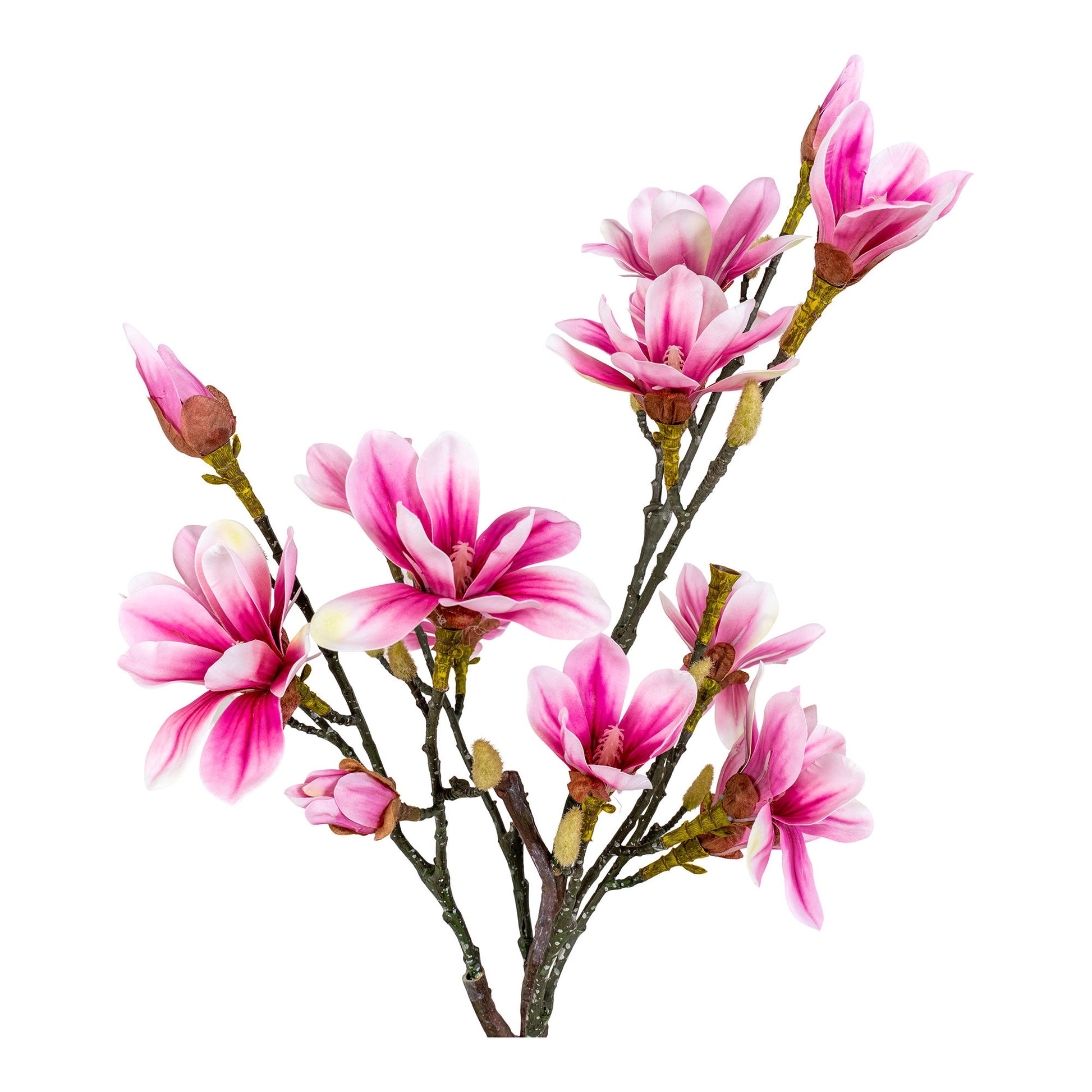 Árbol de Magnolia - Verde / Rosa
