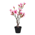 Magnolia Tree - Green / Pink