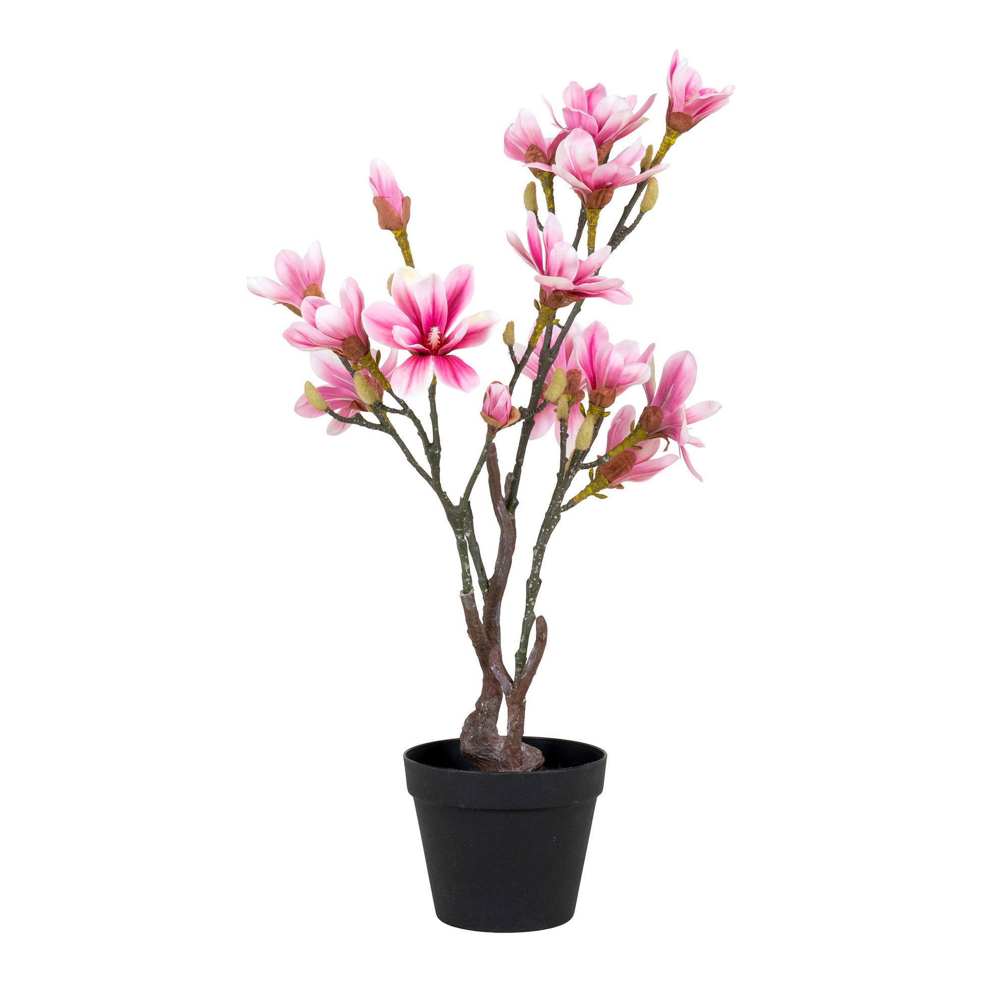 Árbol de Magnolia - Verde / Rosa