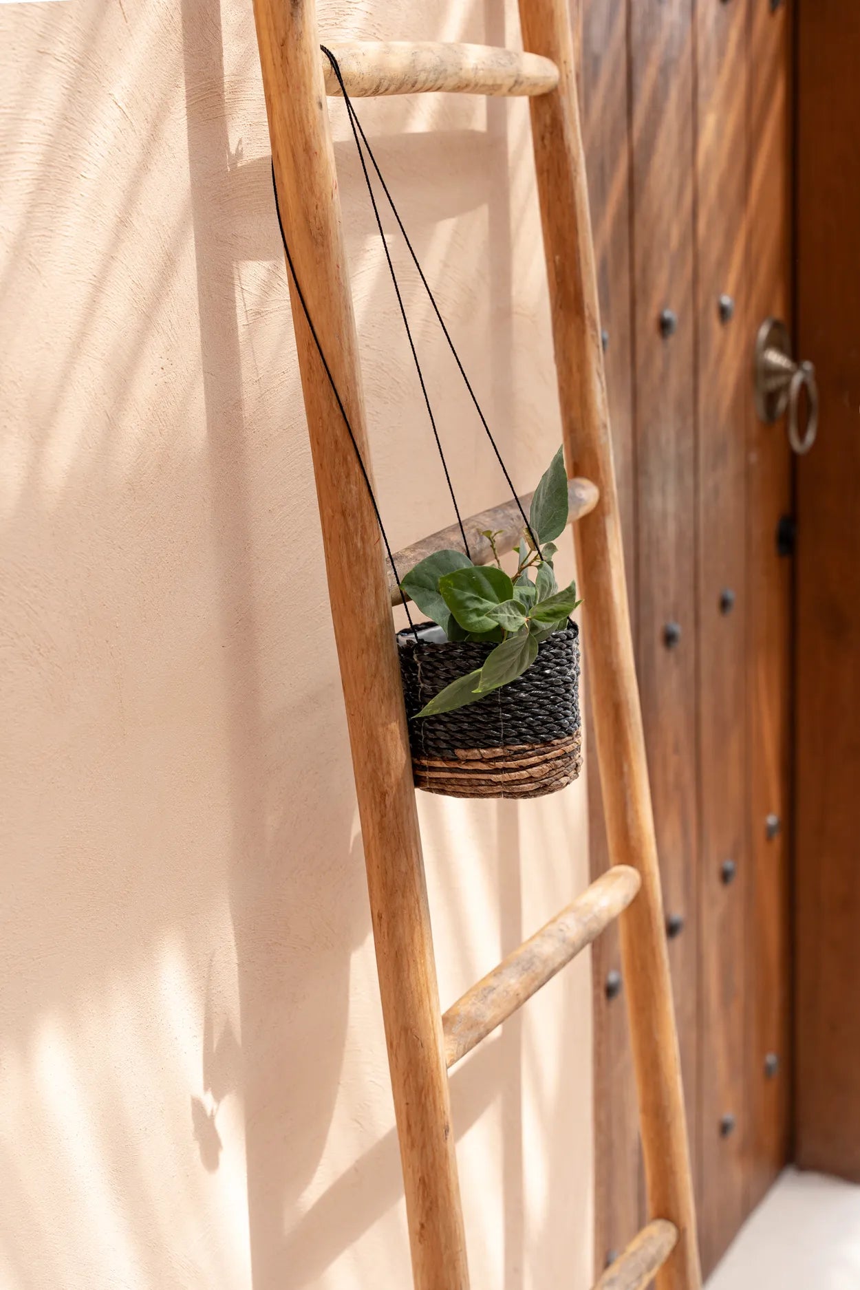 ladder plant hanger The Banana Plant Hanger