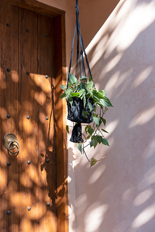 Macrame Plant Hanger - Black - L