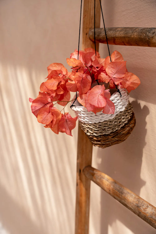 Banana Plant Hanger - Natural White - S