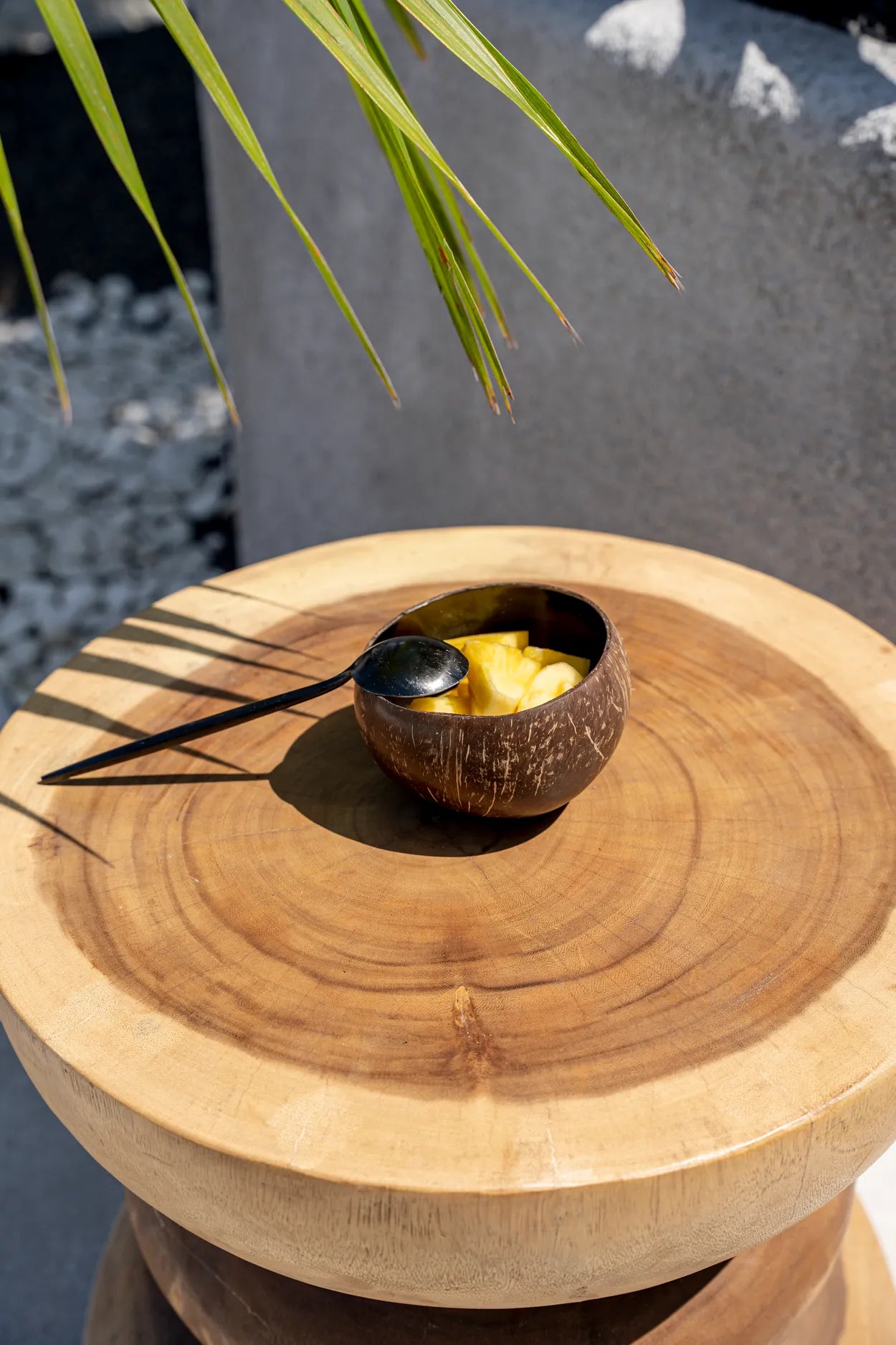 El Cuenco De Comide De Coco - Natural Negro
