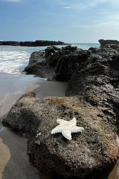 La Concha Estrella - Blanco